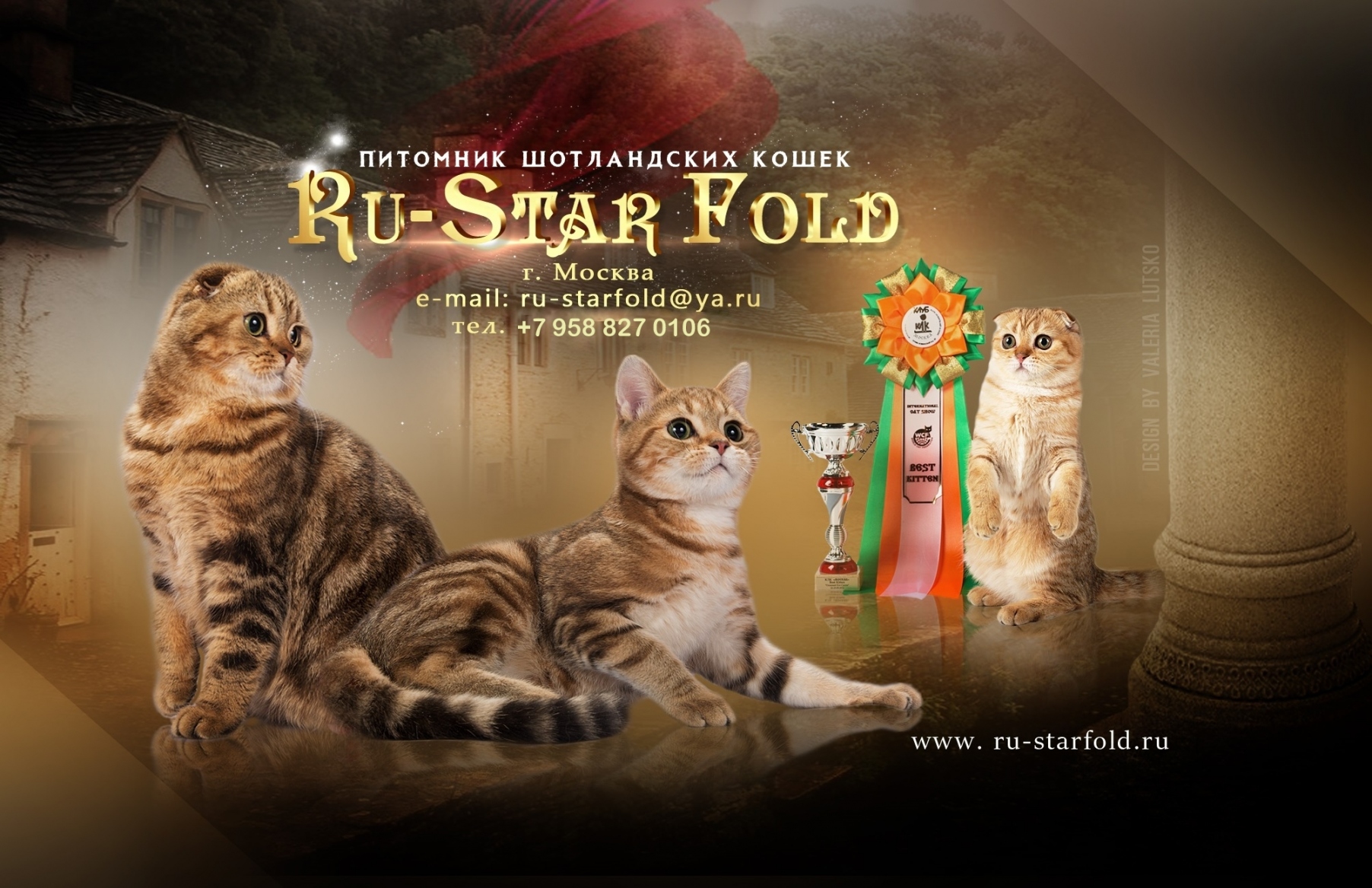 Питомник кошек "Ru-Star Fold"